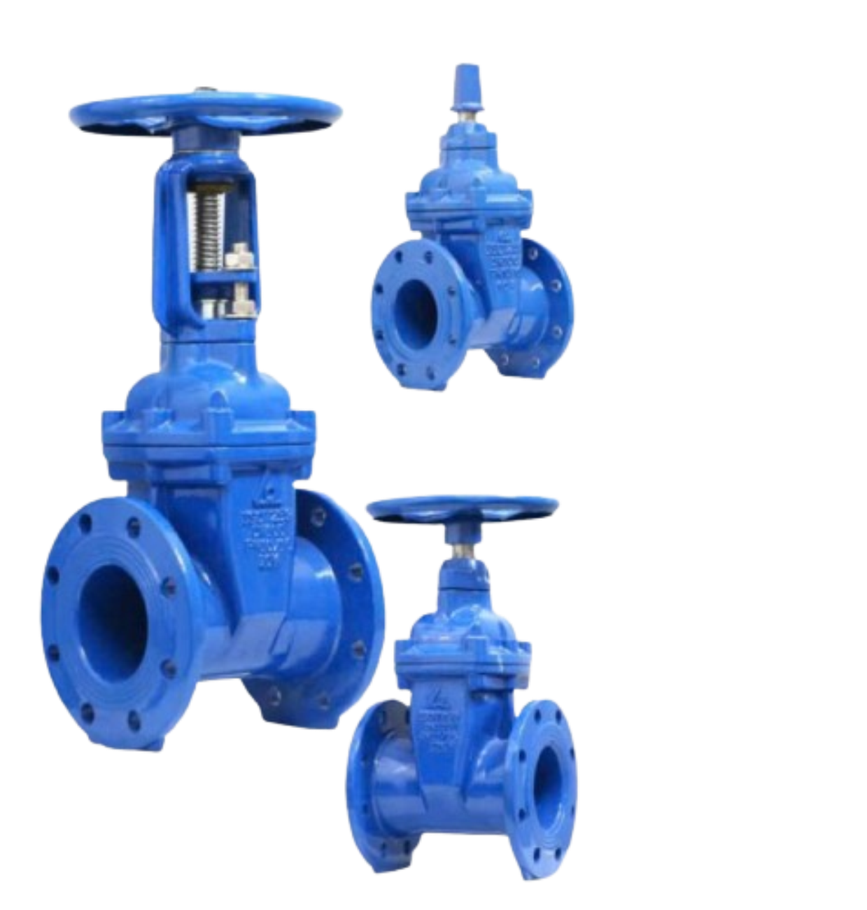 Van cổng lá van bọc cao su RR/RV